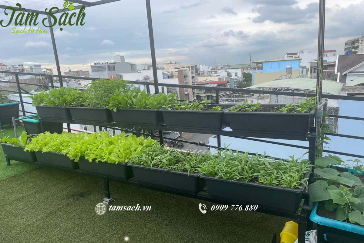 Khay rau màu đen đồng bộ, hiện đại.