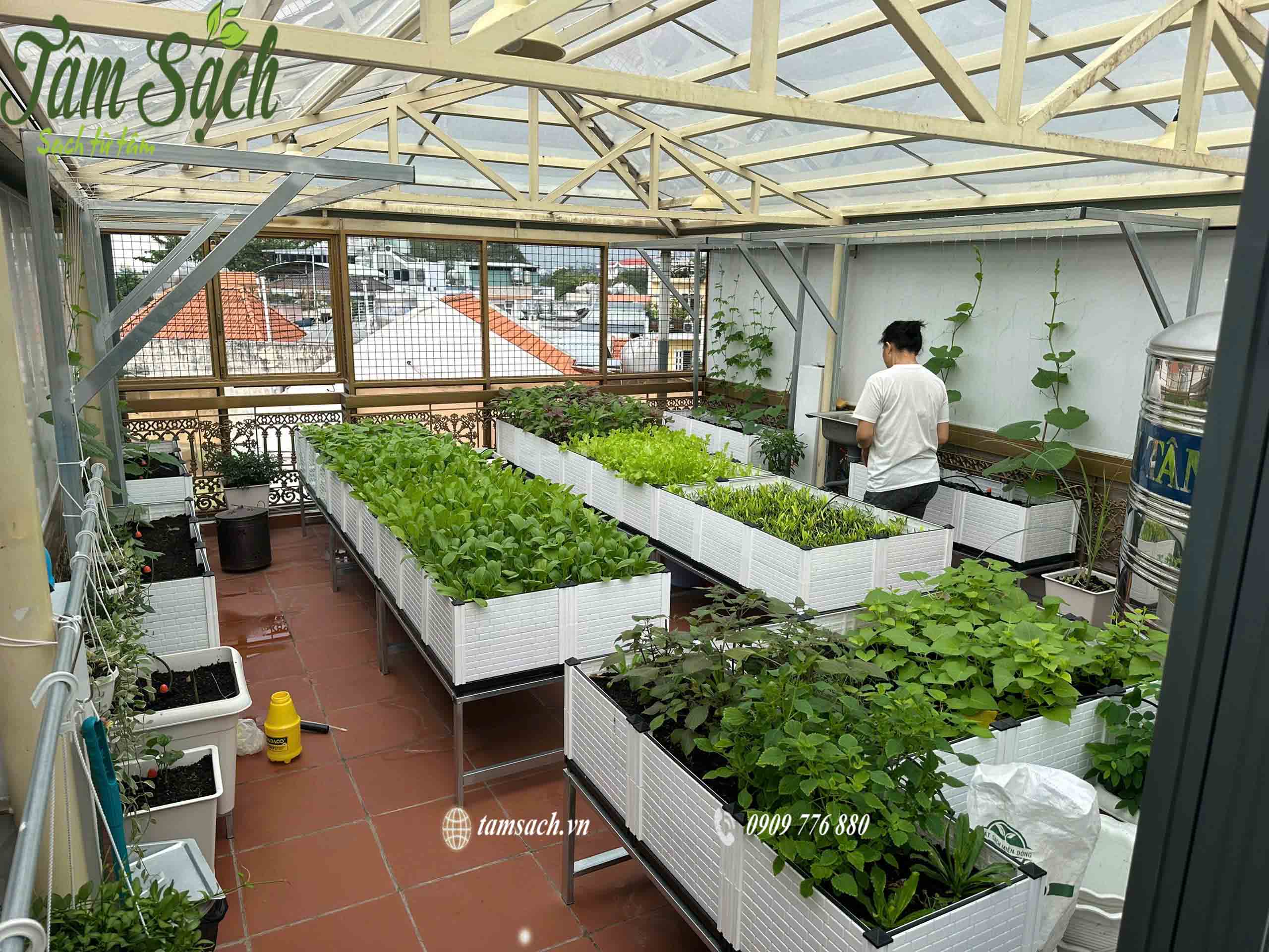 chậu ghép trồng rau