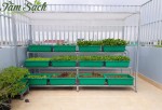 Kệ trồng rau 3 tầng TpHCM-Top mẫu kệ trồng rau sân thượng được ưa chuộng nhất