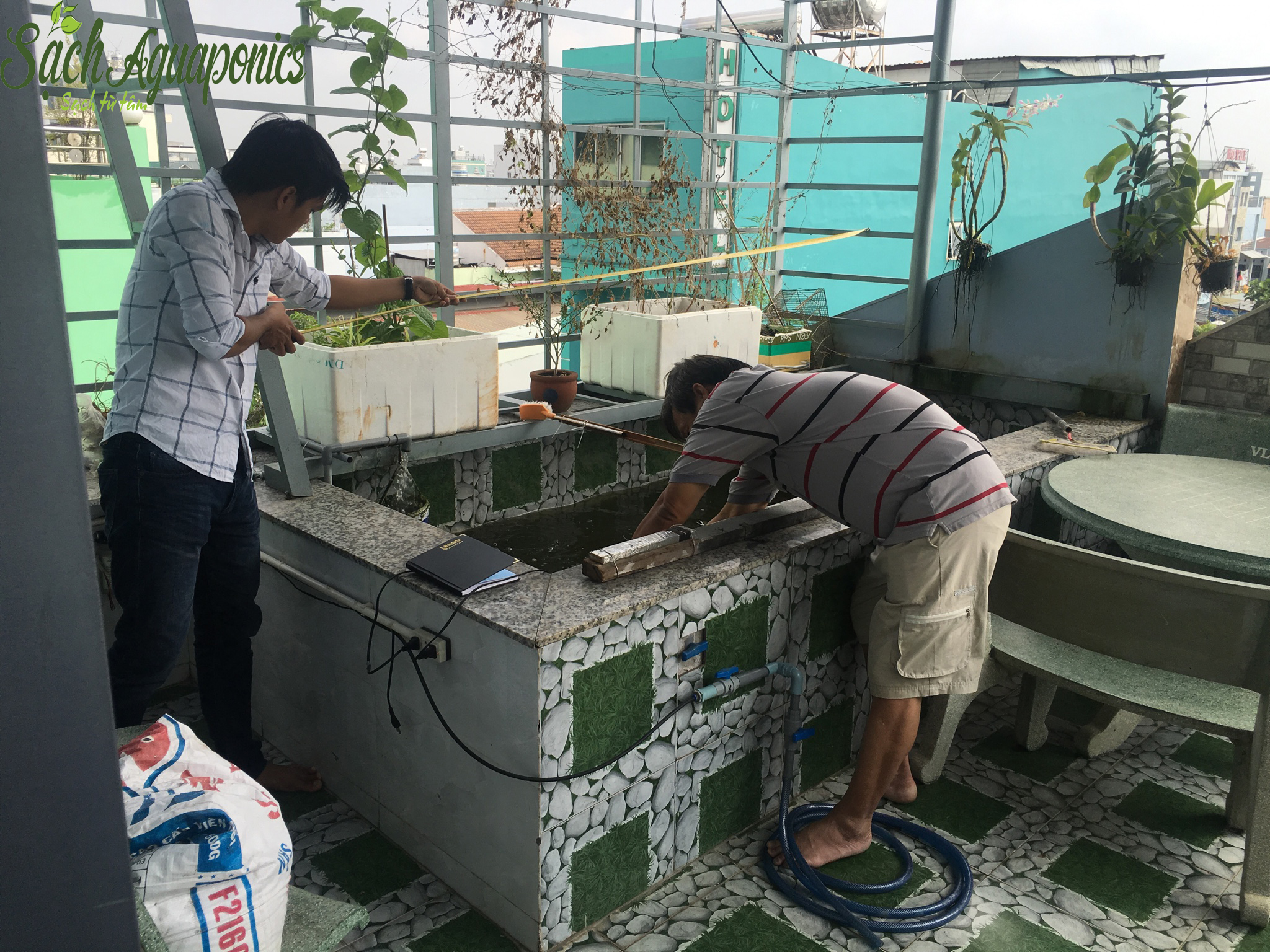 Công nghệ trồng rau sạch tại nhà