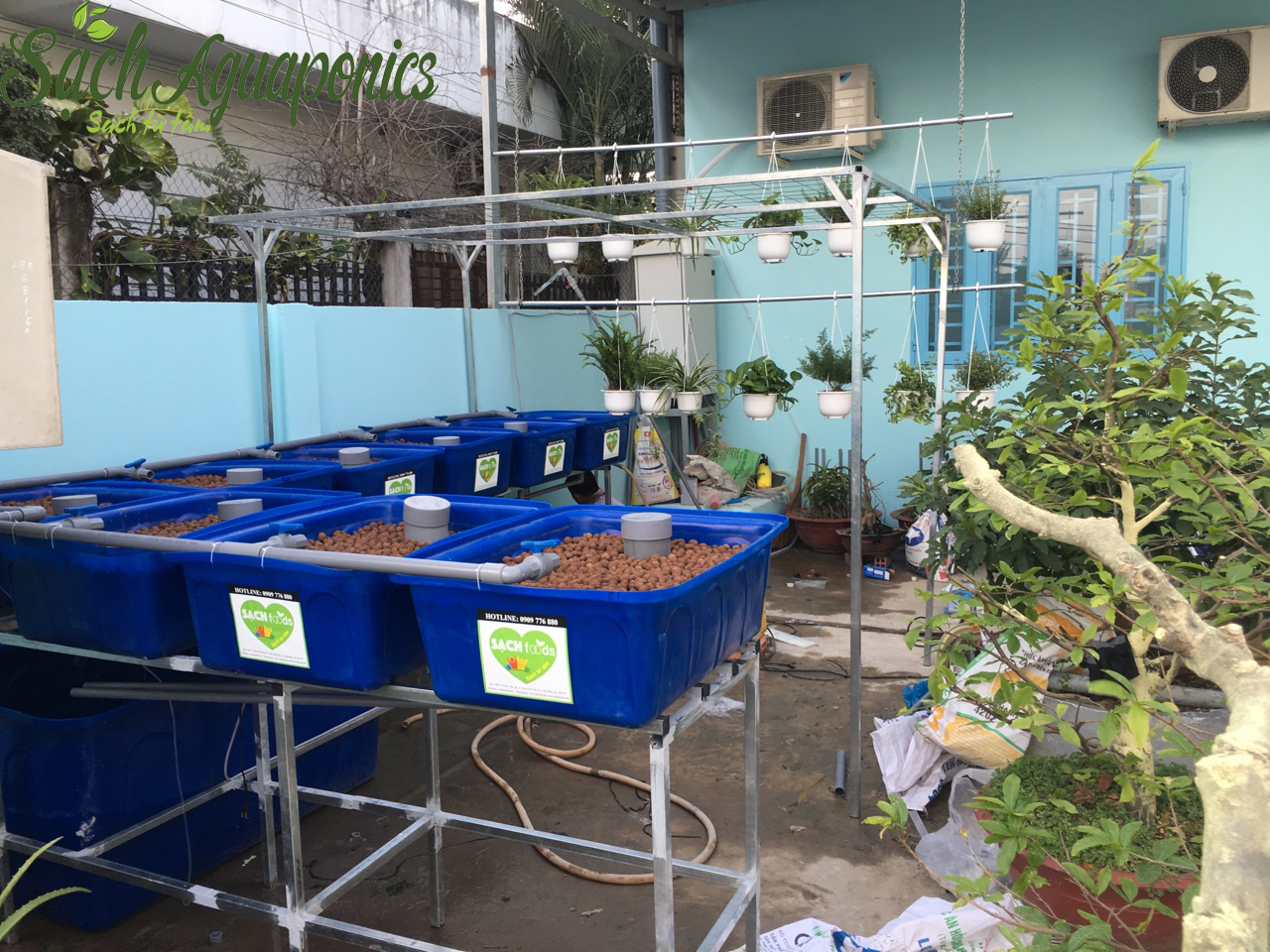 Dịch vụ trồng rau sạch tại nhà tphcm