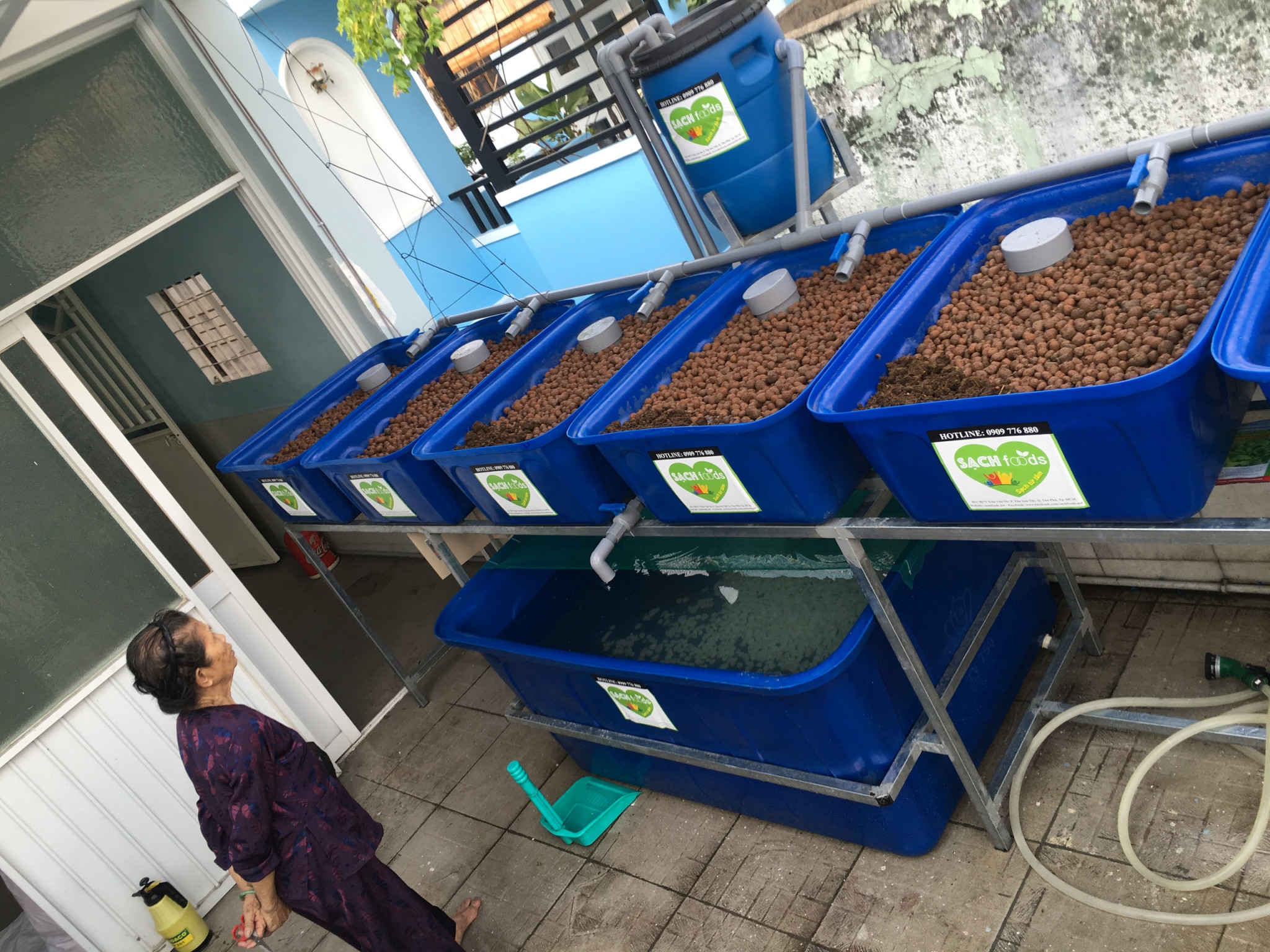 Lắp đặt hệ thống trồng rau thủy canh tại nhà