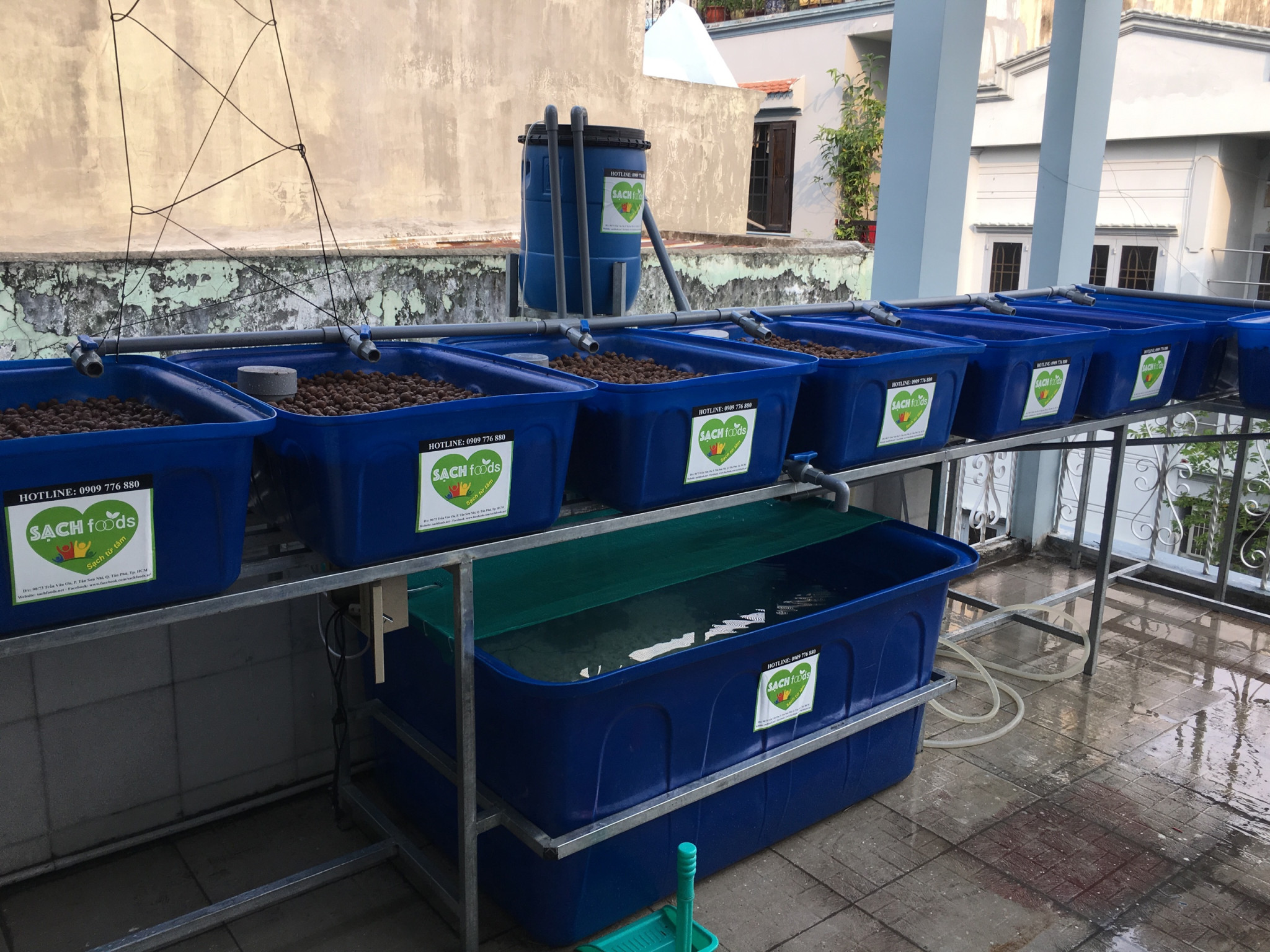 Lắp đặt hệ thống trồng rau thủy canh tại nhà
