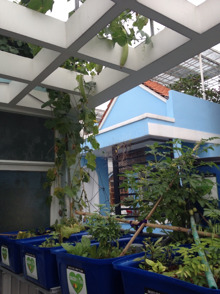 Lắp đặt hệ thống trồng rau thủy canh tại nhà
