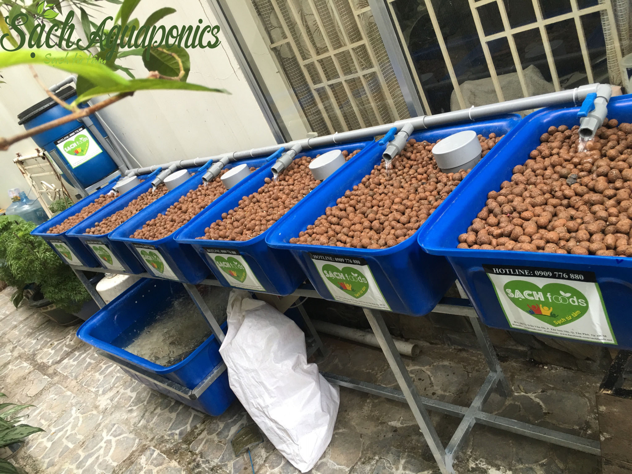 Mô hình rau sạch cá sạch
