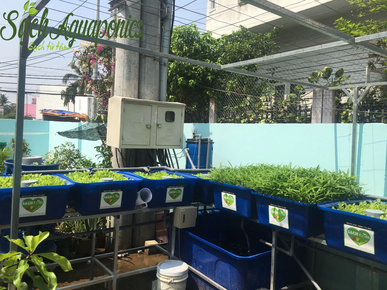 Phương pháp thủy canh hồi lưu