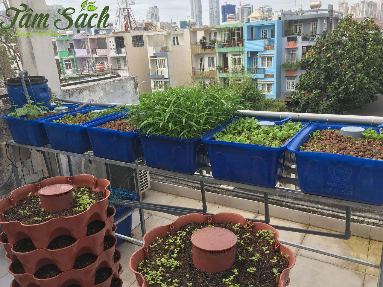 Thiết kế hệ thống aquaponics
