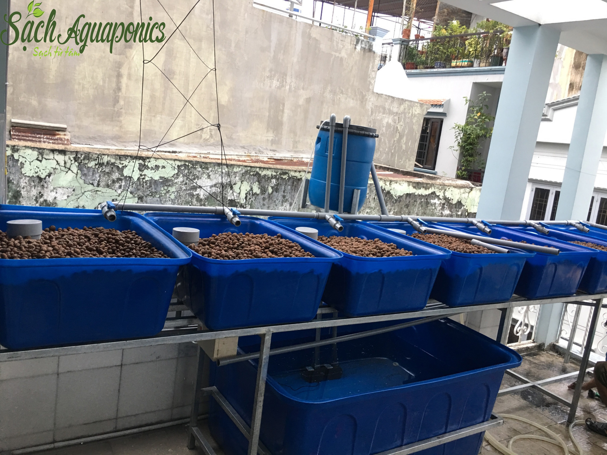 Thiết kế vườn rau gia đình