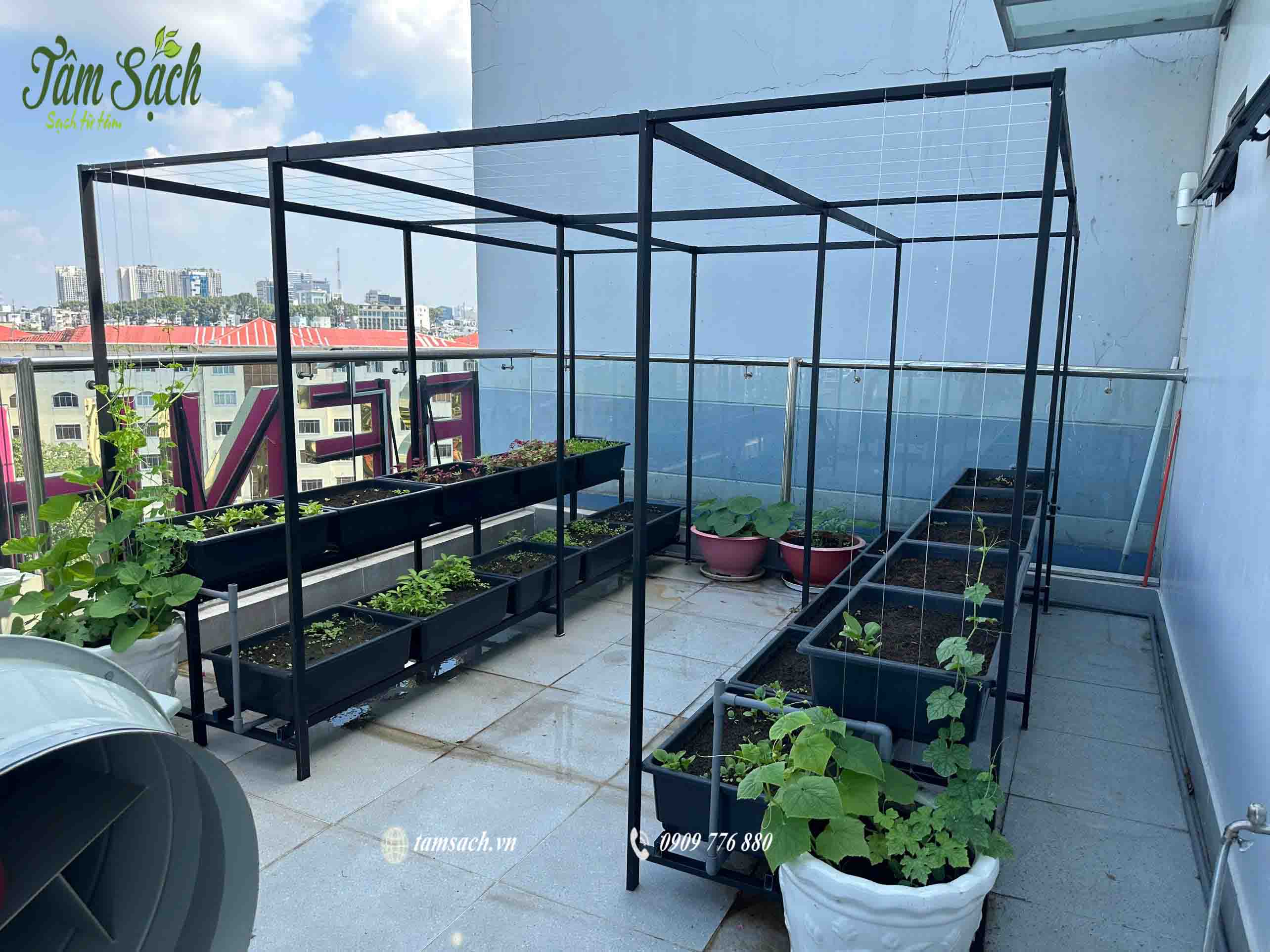 Tổng thể vườn rau sạch sau cải tạo gọn gàng – hiệu quả