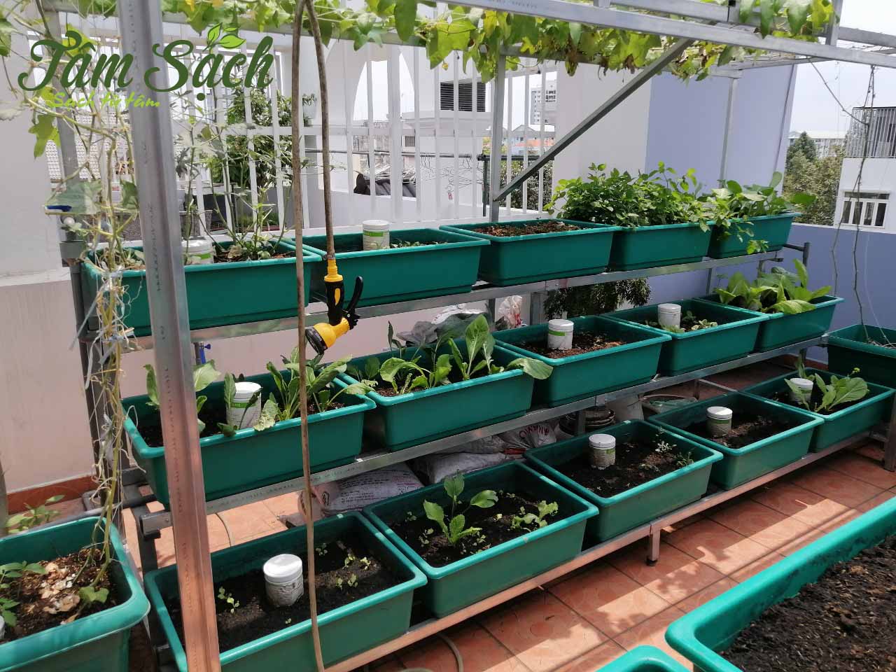 Vườn rau 3 tầng nhỏ gọn trong nhà phố