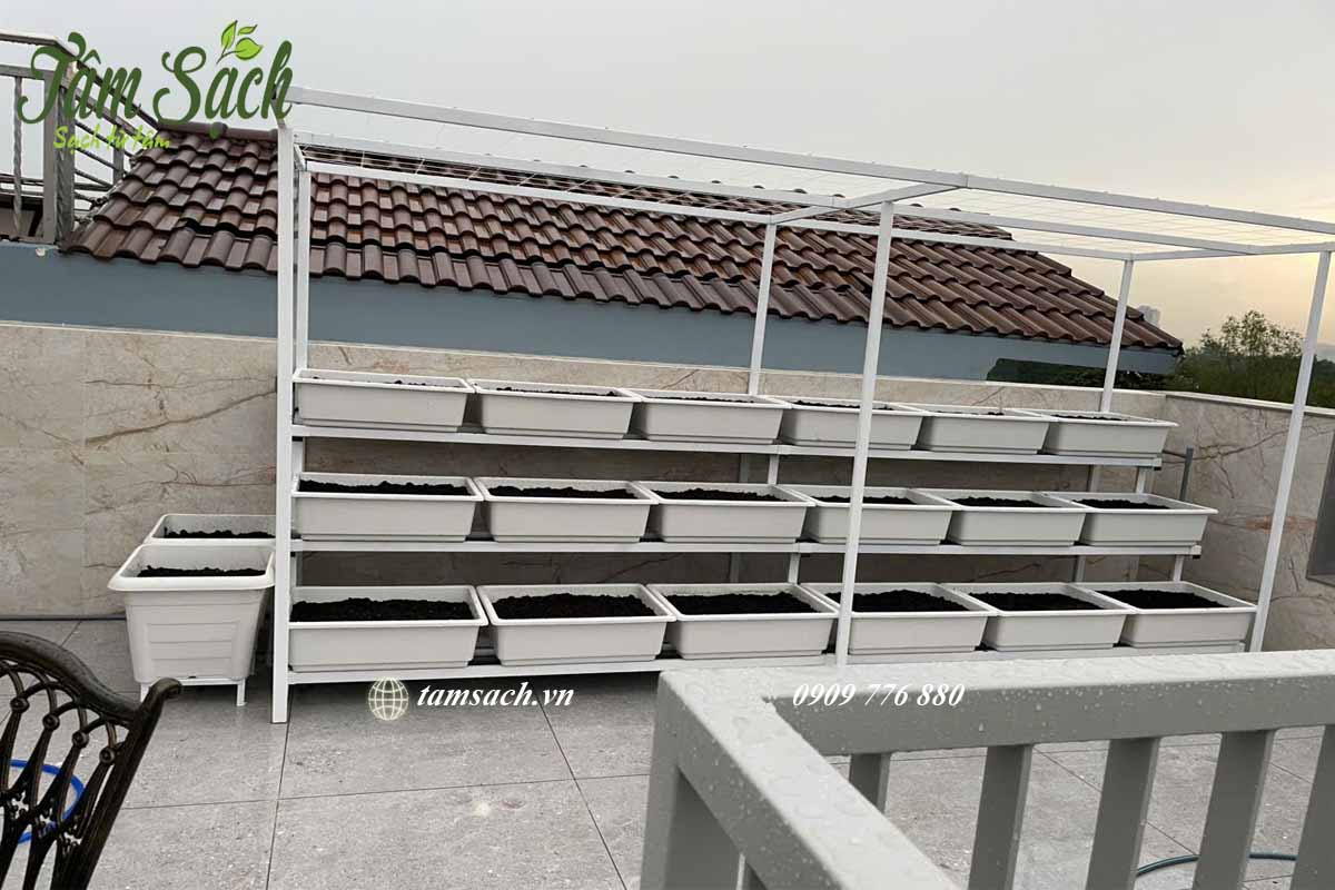 Hướng dẫn trồng rau sạch đơn giản