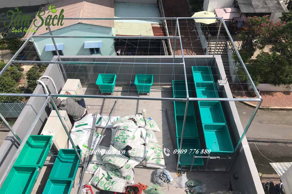 Hướng dẫn trồng rau sạch đơn giản