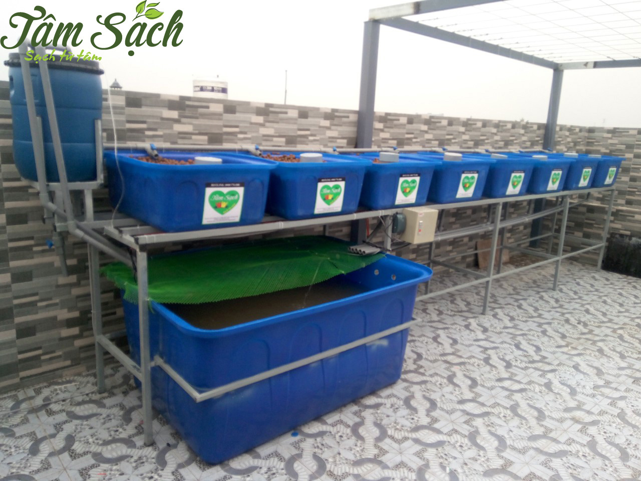 Giàn rau sạch tại nhà