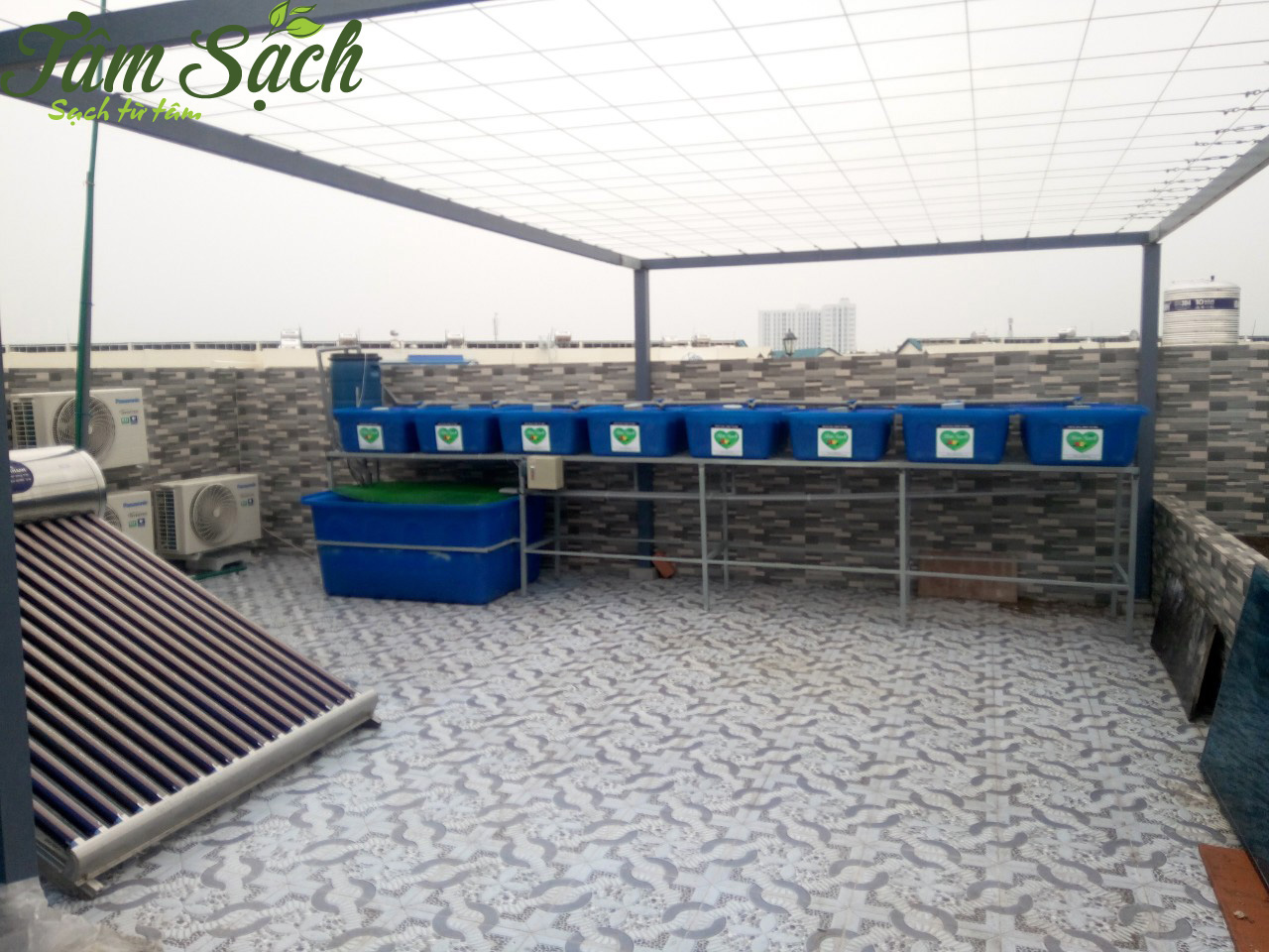 Giàn rau sạch tại nhà
