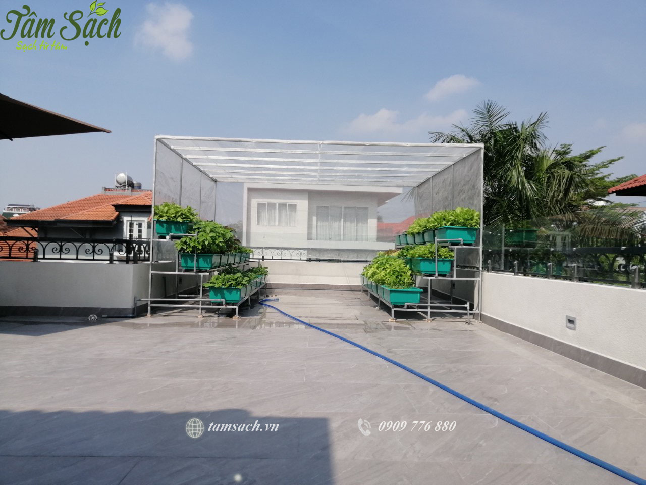Thiết kế kệ trồng rau sạch