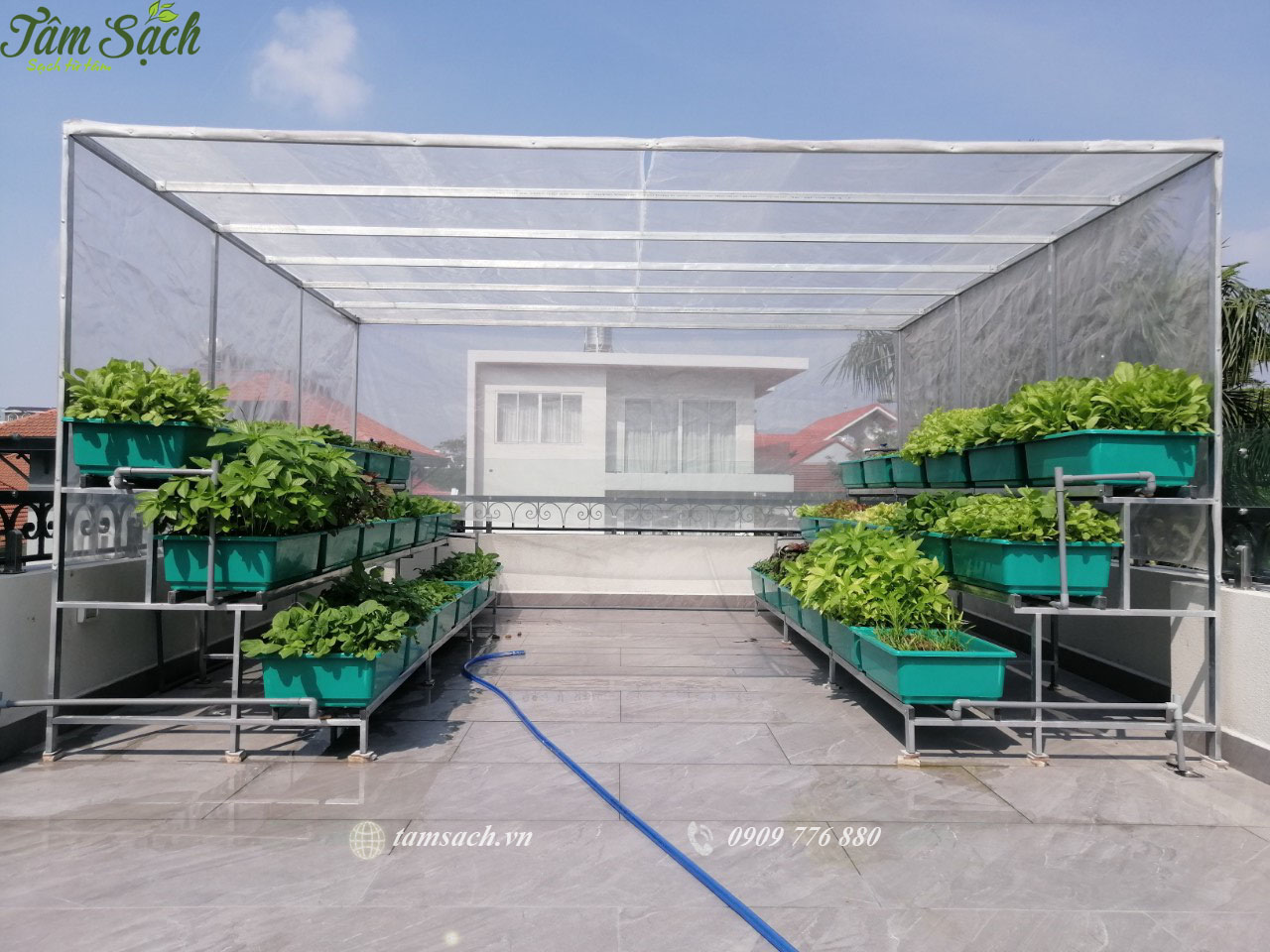 Thiết kế kệ trồng rau sạch