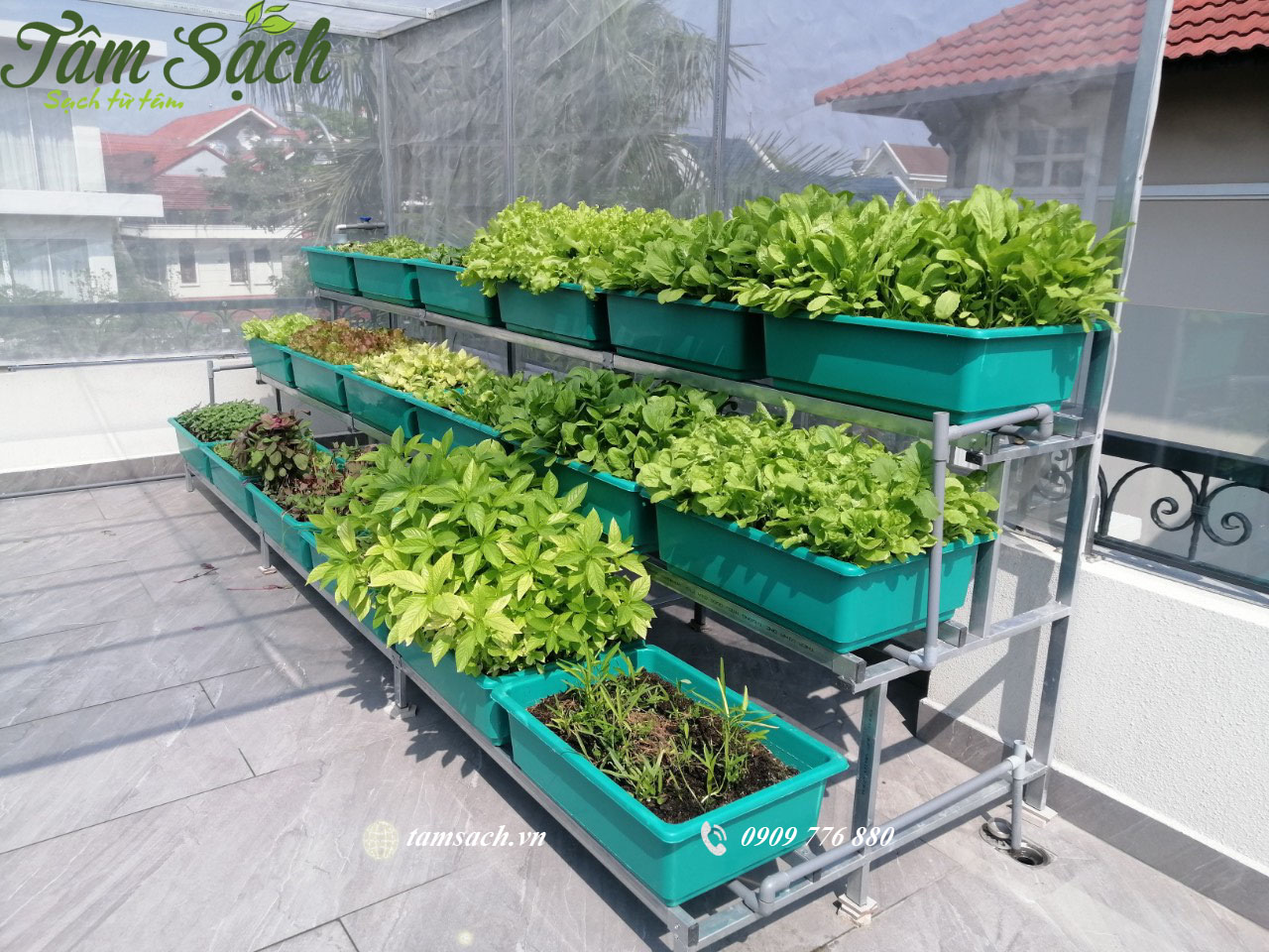 Thiết kế kệ trồng rau sạch
