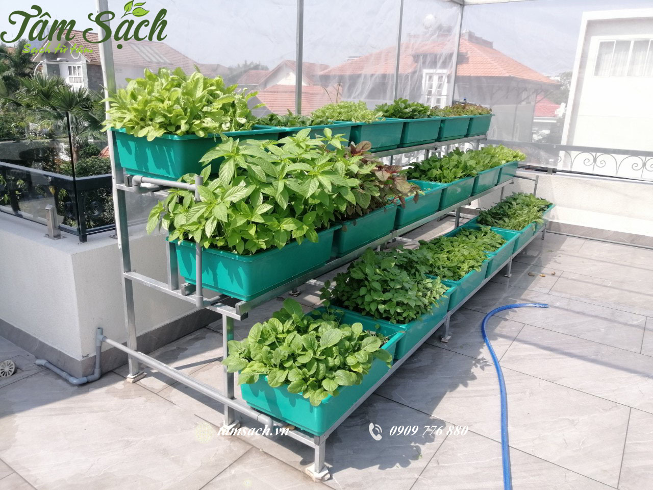 Thiết kế kệ trồng rau sạch