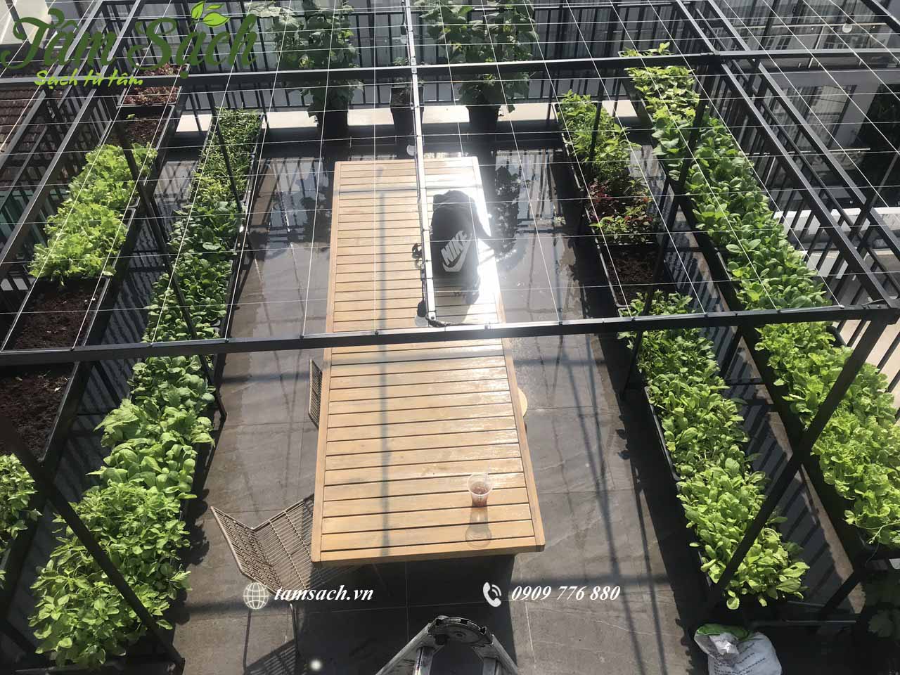 Thiết kế vườn trồng rau sạch trên sân thượng