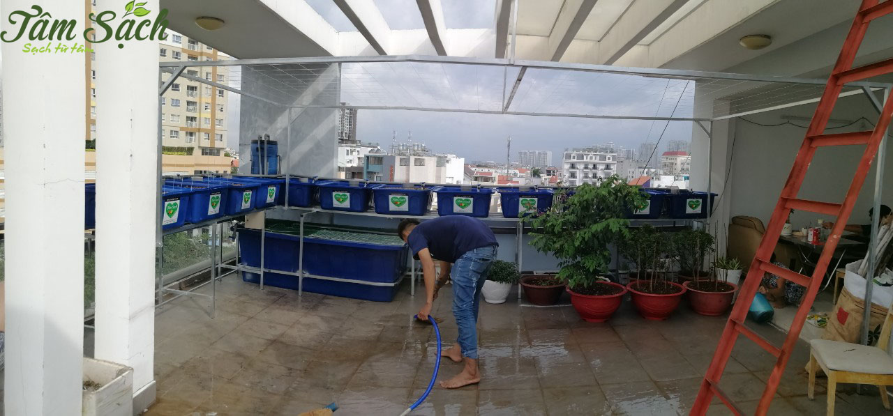 Trồng rau nuôi cá Aquaponics