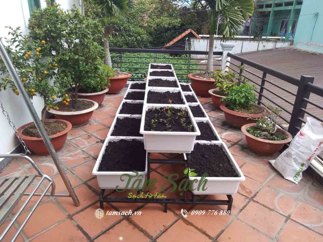Trồng rau ở ban công