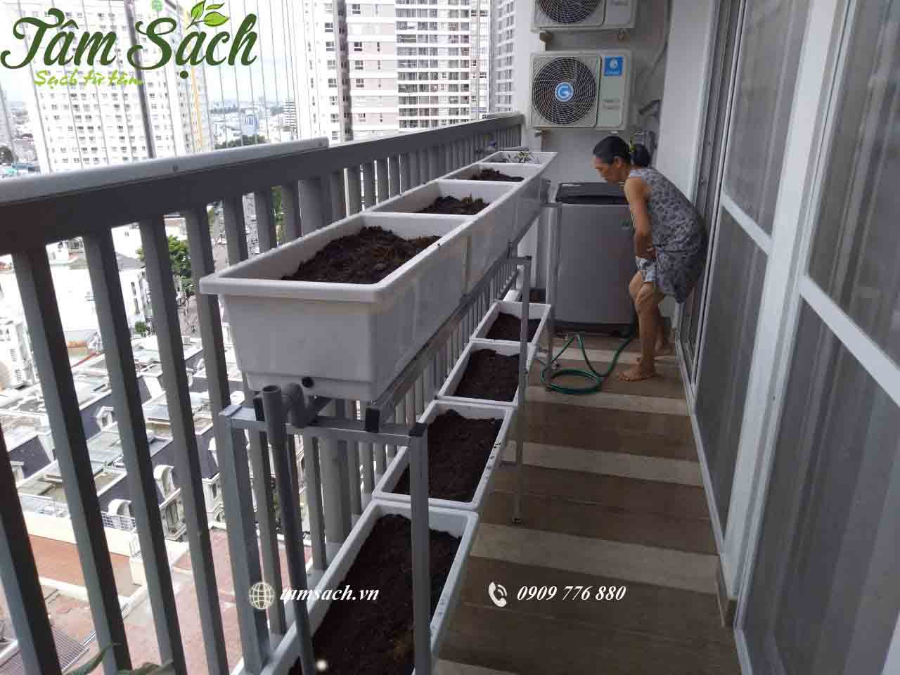 Trồng rau ở ban công