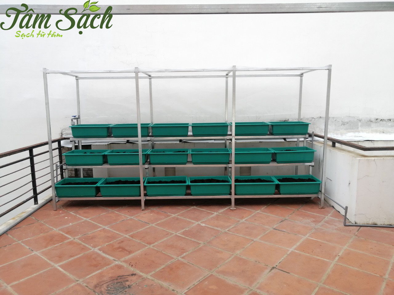 Vườn rau sân thượng