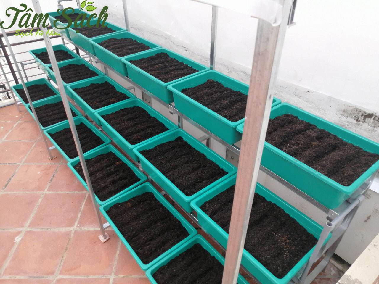 Vườn rau sân thượng