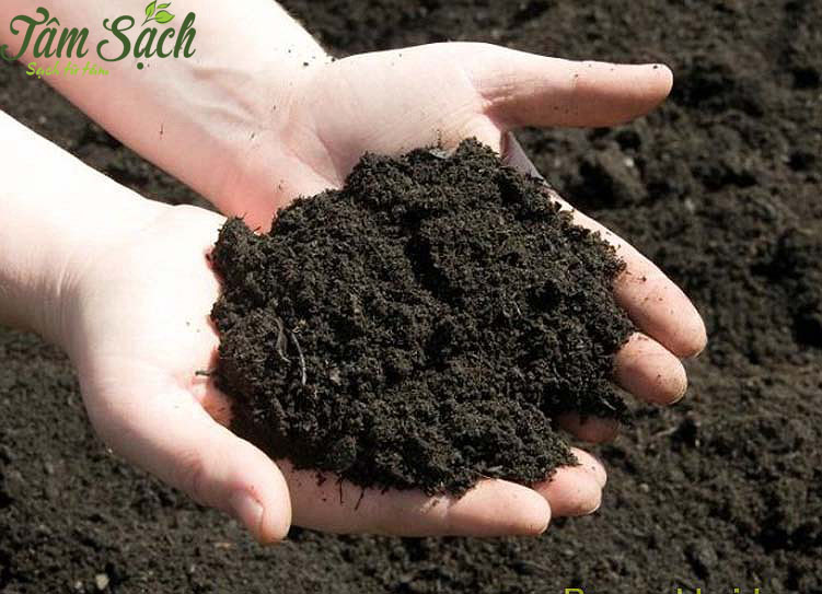  Cách làm đất trồng rau tại nhà