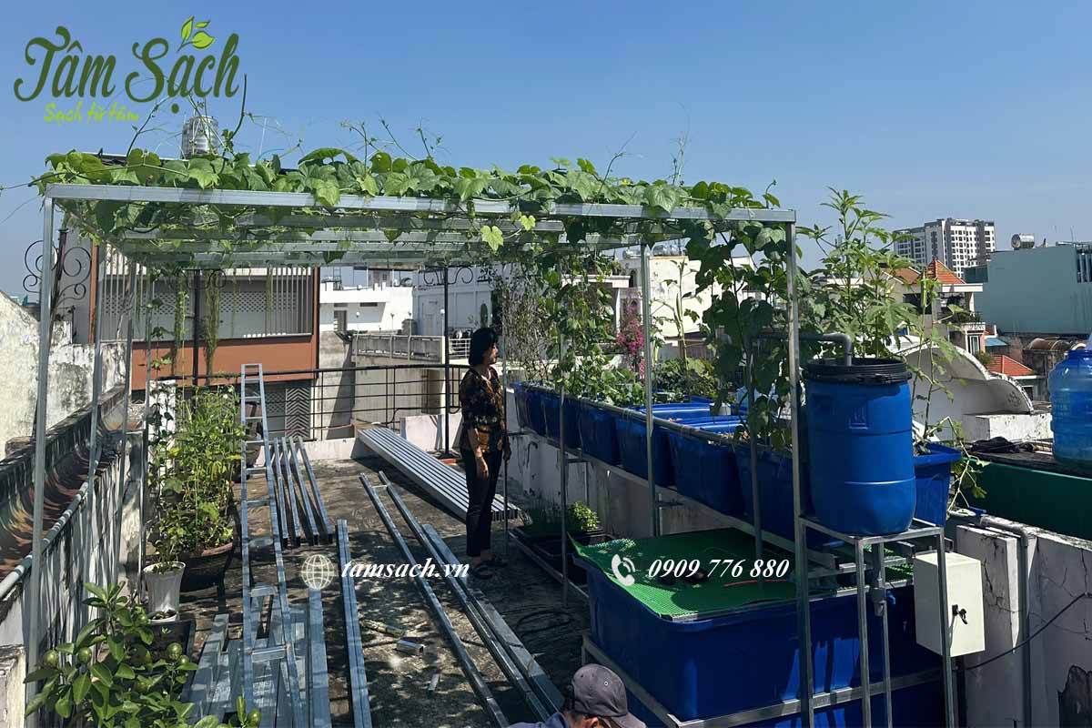 Chăm sóc vườn rau sân thượng Chăm sóc vườn rau sân thượng