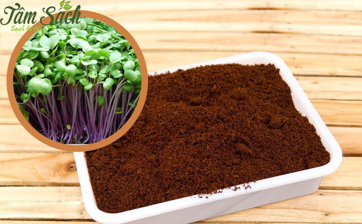 Đất sạch trồng rau tphcm