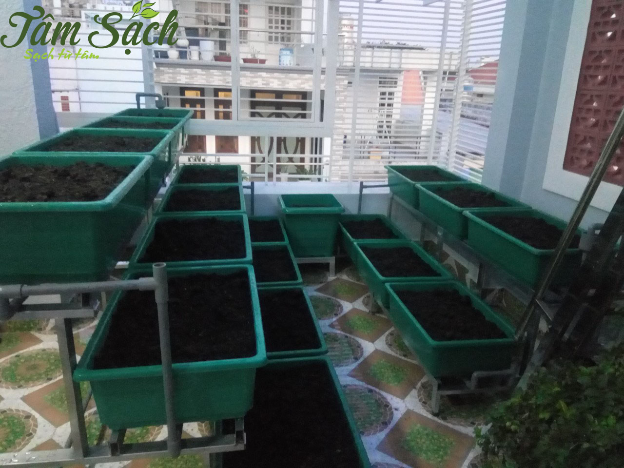 Đất sạch trồng rau tphcm