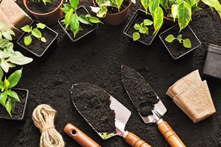  Dụng cụ trồng rau sạch tại nhà