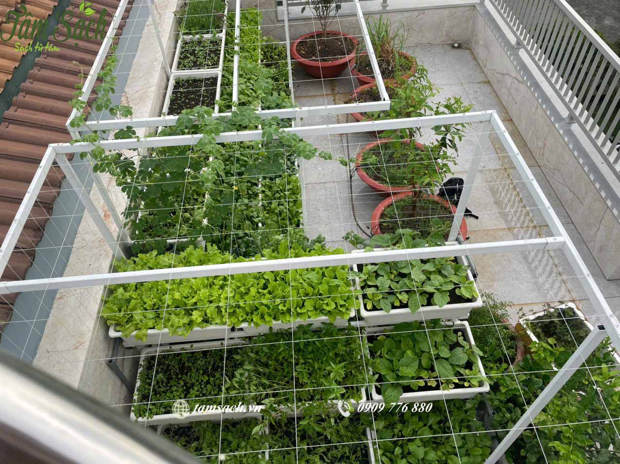 Tổng thể vườn rau vừa đẹp vừa tiện dụng.