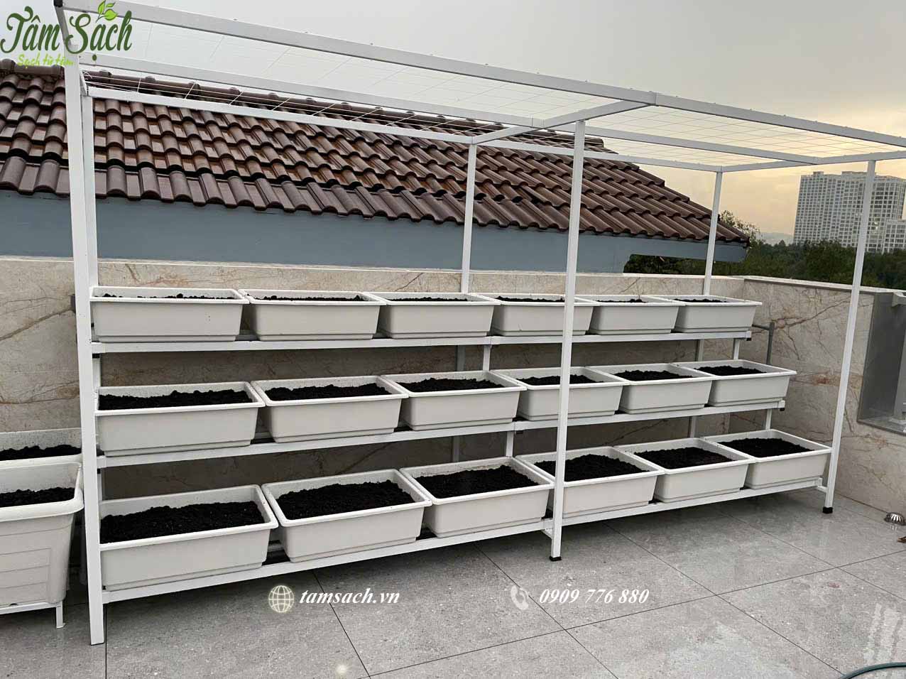 Khay trồng trắng gọn gàng, sạch sẽ.
