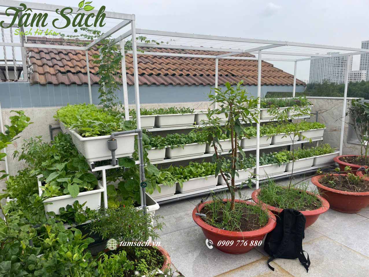 Góc chụp nghiêng thể hiện chiều cao và cấu trúc giàn.