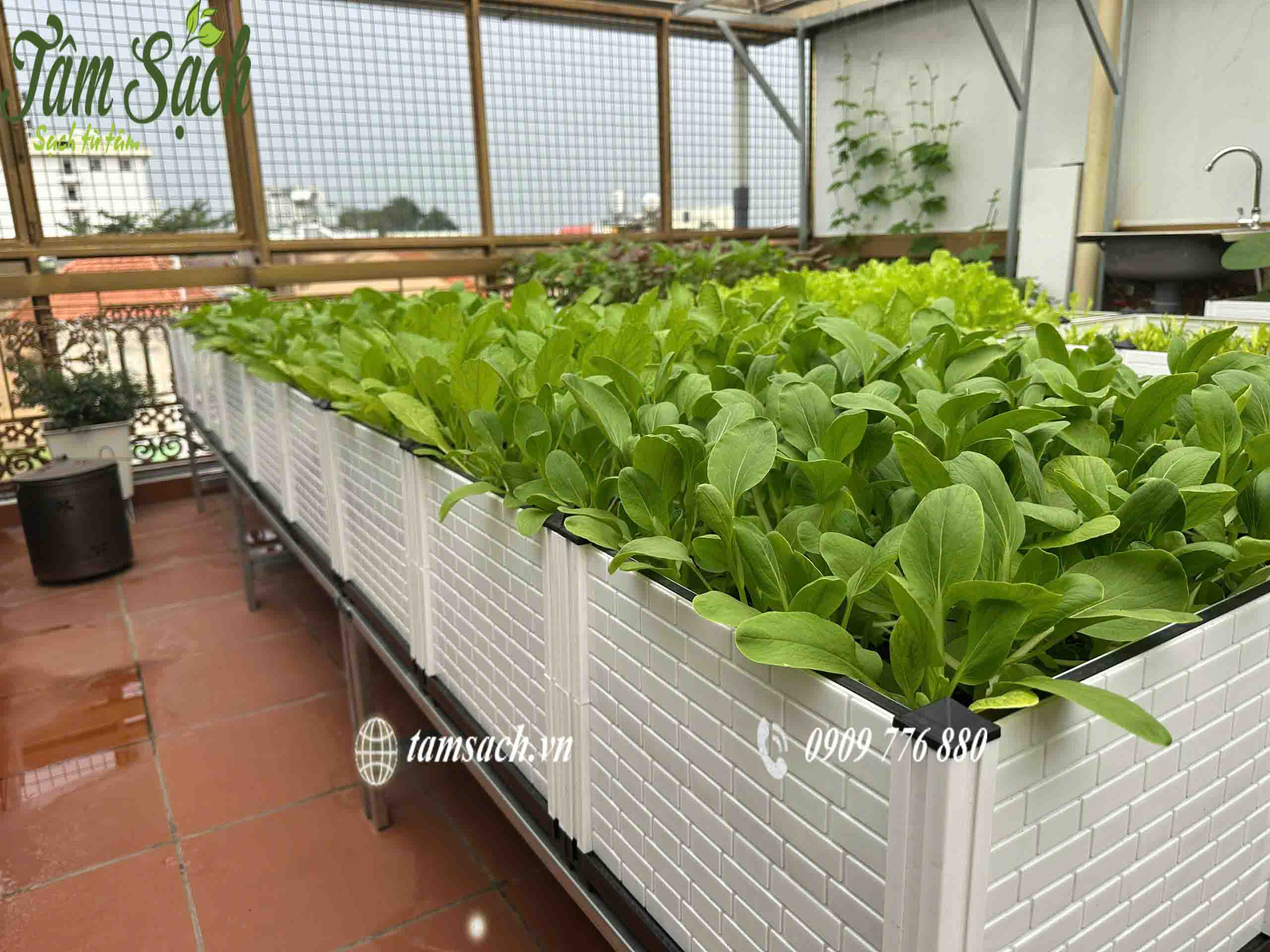 Chậu ghép thông minh Chậu ghép thông minh