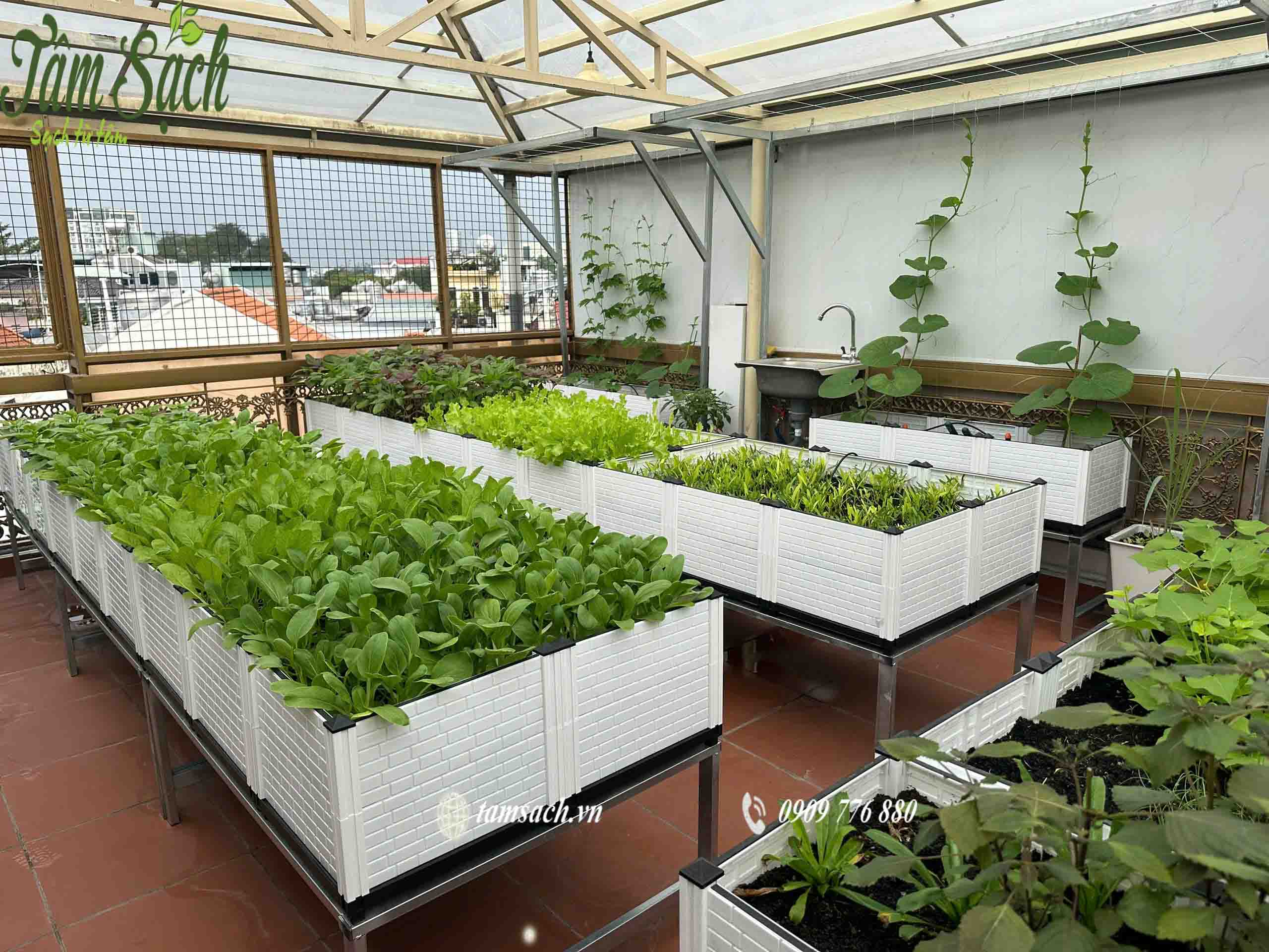 Chậu ghép thông minh Chậu ghép thông minh