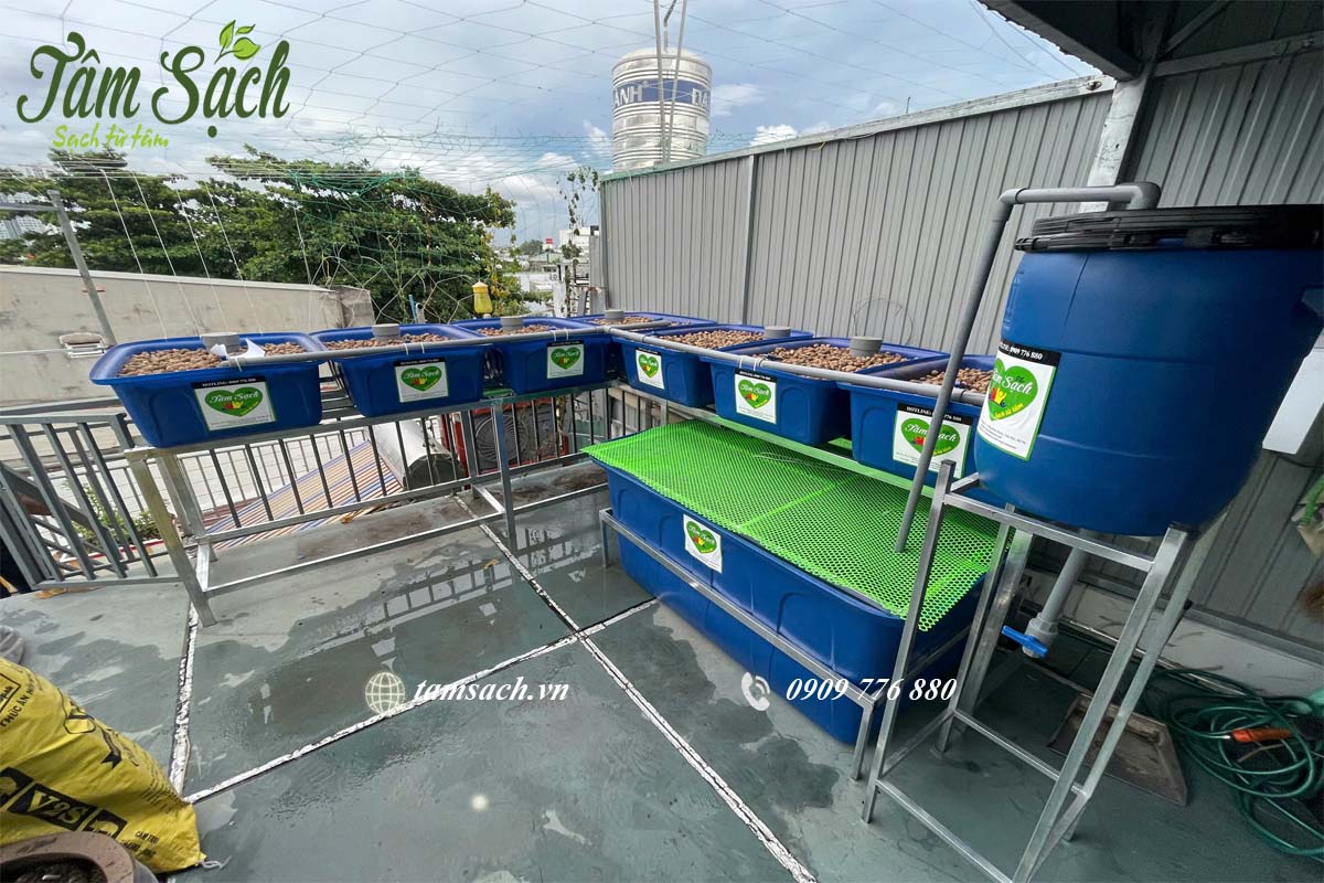 Hệ thống Aquapopnics 7khay