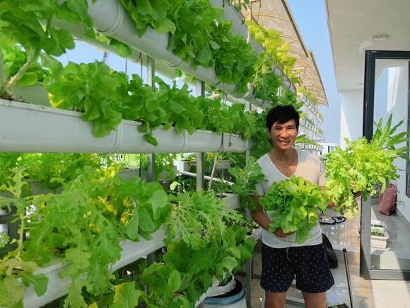 Hướng dẫn trồng rau trên sân thượng