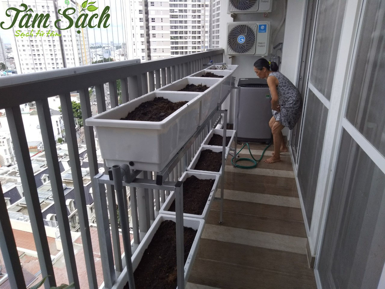 Kệ trồng rau sạch tại nhà