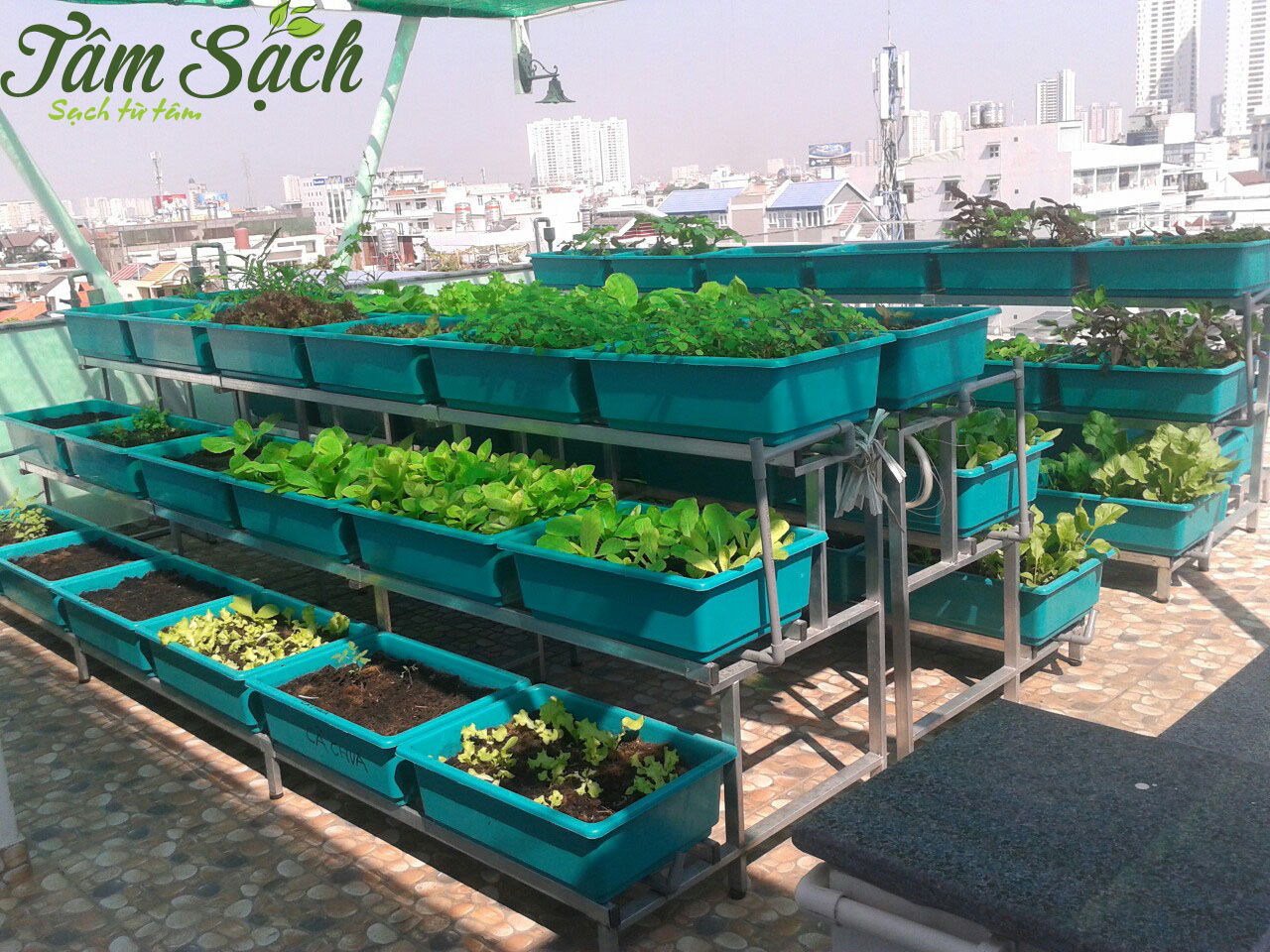 Làm giàn trồng rau sạch tại nhà