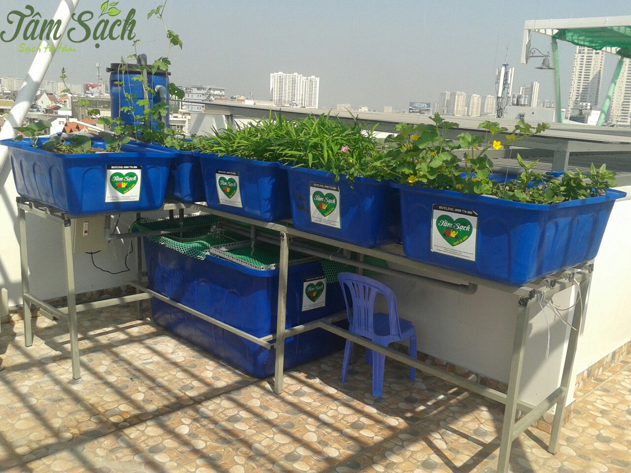 Làm giàn trồng rau sạch tại nhà