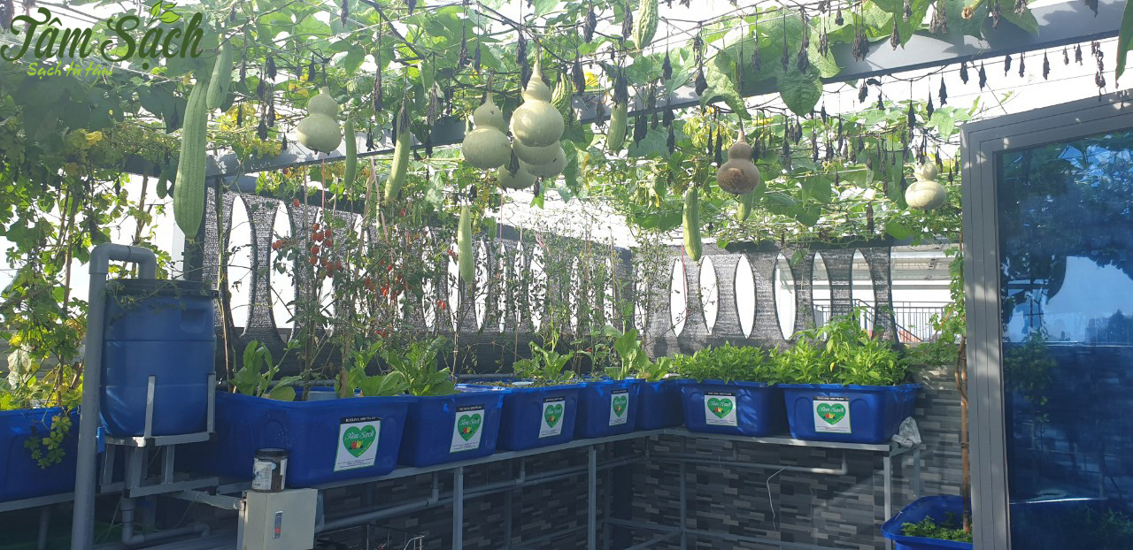 Lắp đặt hệ thống aquaponics