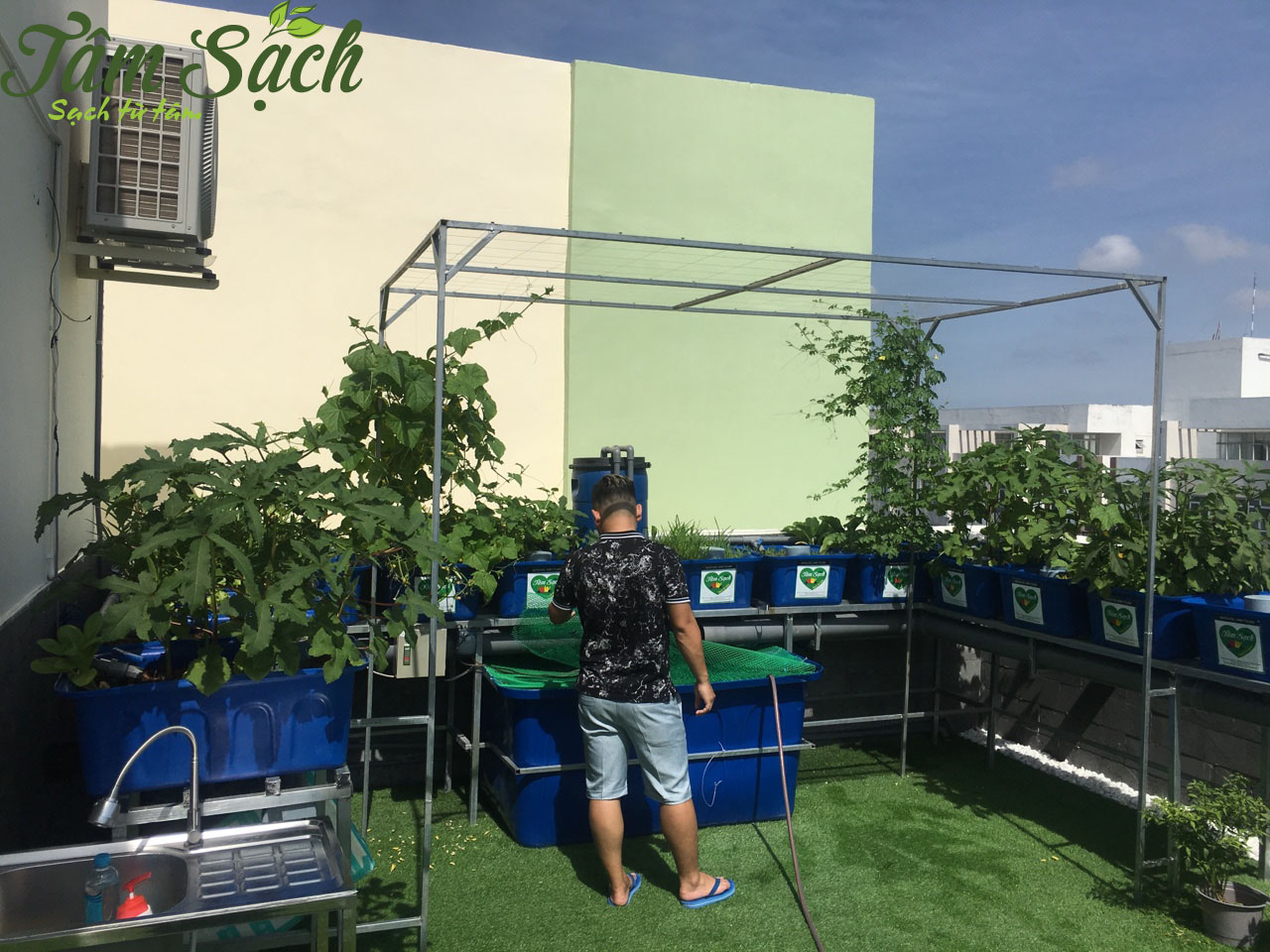 Lắp đặt hệ thống aquaponics