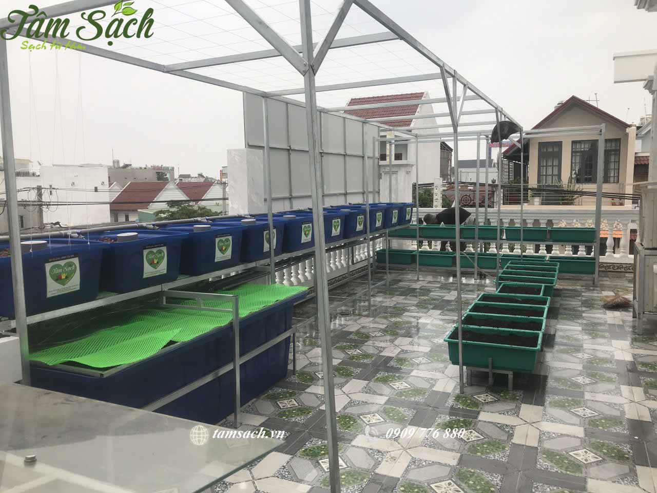 Mô hình aquaponics là gì