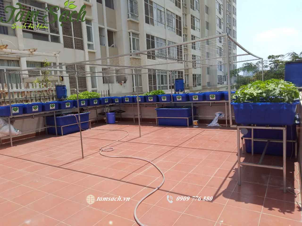 Mô hình aquaponics là gì