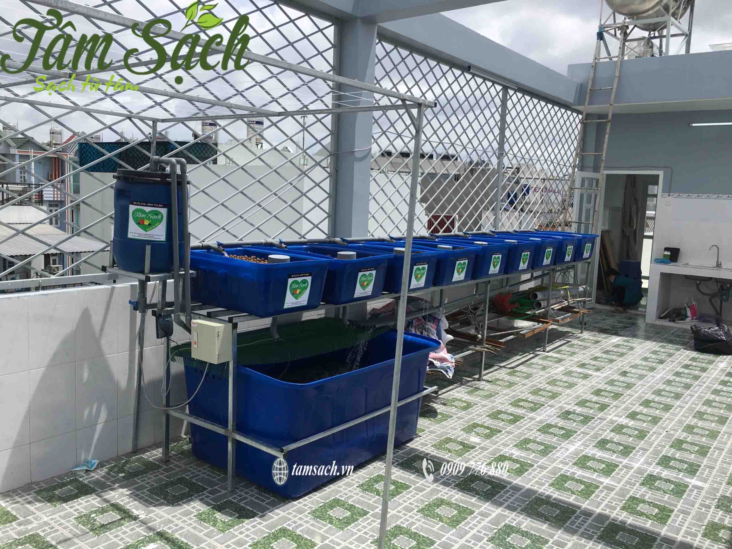 Mô hình aquaponics là gì