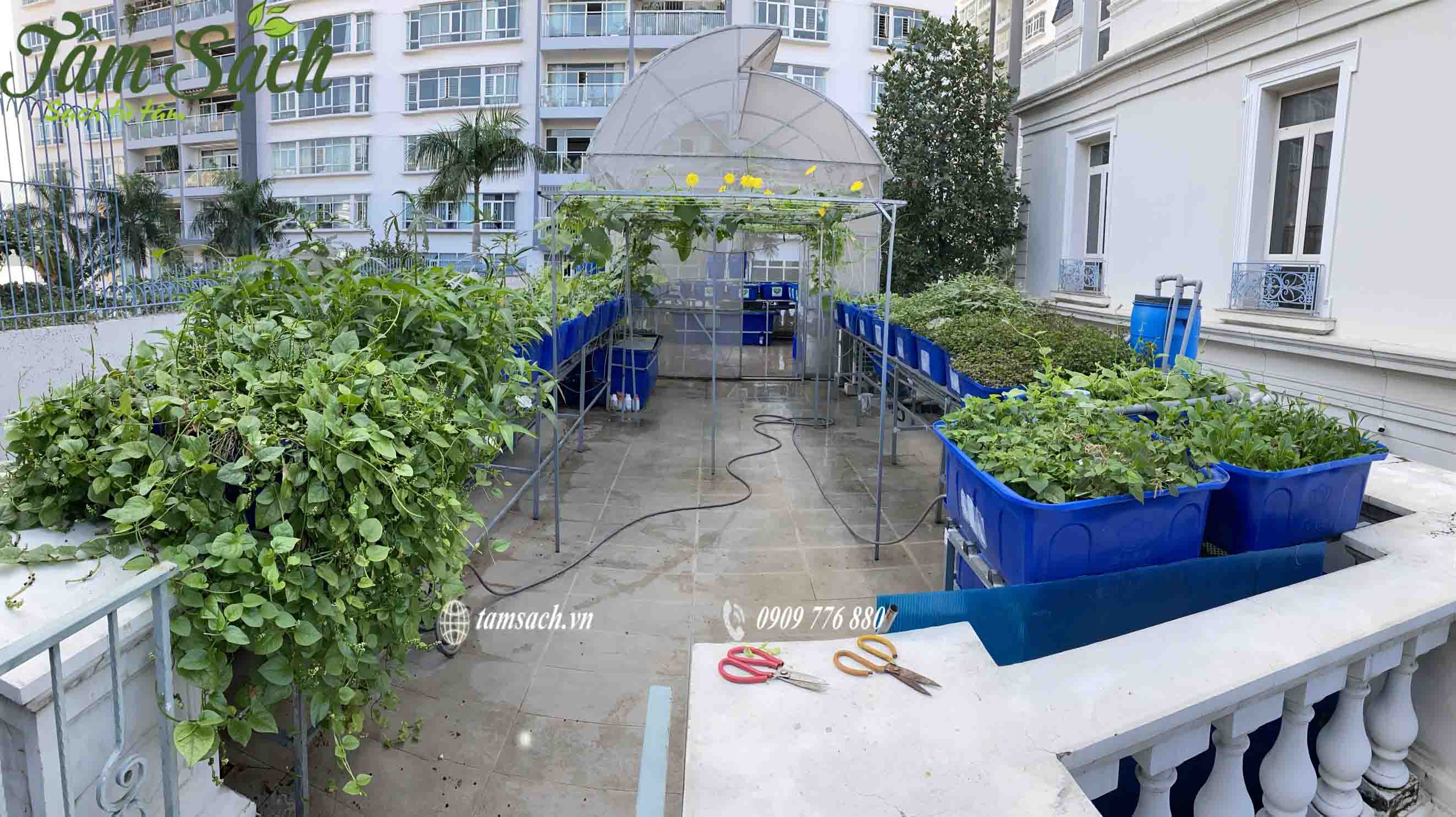 Mô hình aquaponics là gì