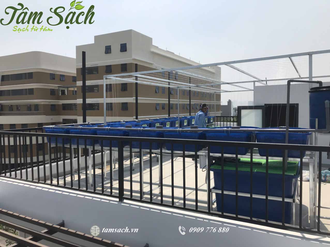 Mô hình aquaponics là gì